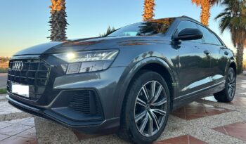 AUDI Q8 SLINE 50 TDI 286CV lleno