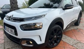 CITROEN C4 CACTUS 1.5 BLUEHDI 100CV